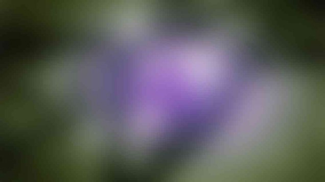 photo_02_v01