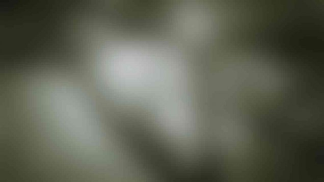 photo_02_v02